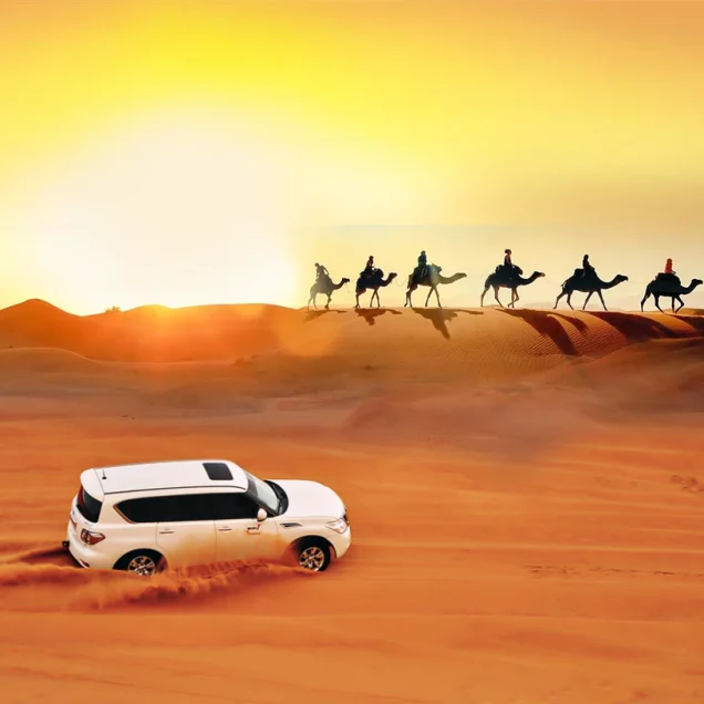 Desert Safari Dubai & Abu Dhabi