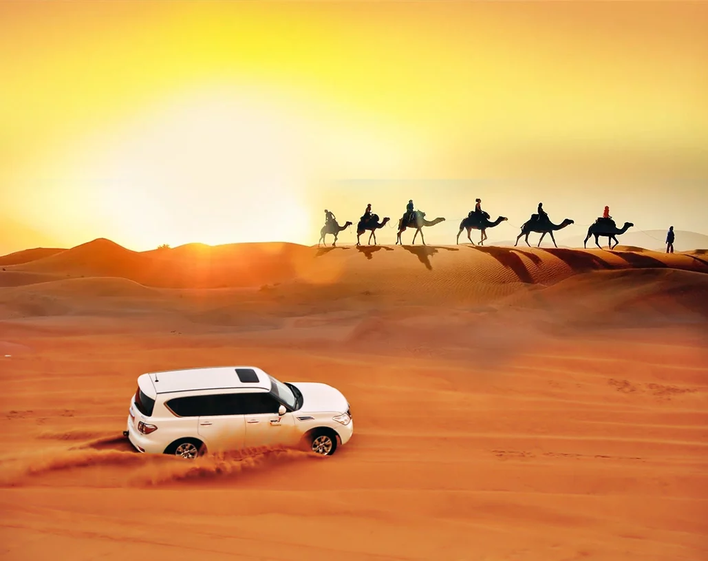 desrt-safari